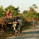 Photo témoignage voyage Birmanie Danièle
